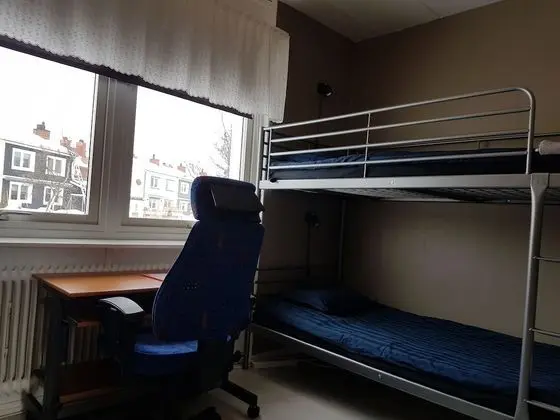 Comfort Tek Kişilik Oda, Bahçe Manzaralı, Bahçeli