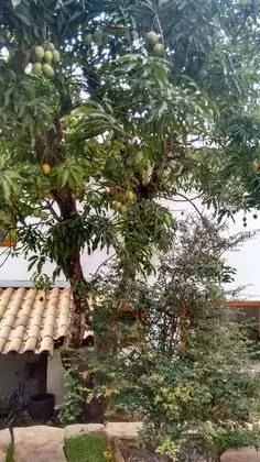 Superior Süit (Casal)