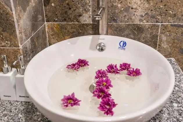 Deluxe Büyük Yataklı Tek Kişilik Oda, 1 Yatak Odası, Sigara İçilmez, Havuz Manzaralı