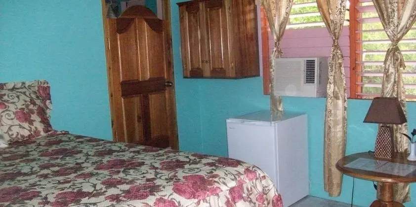 Comfort Tek Kişilik Oda, 1 Büyük (Queen) Boy Yatak