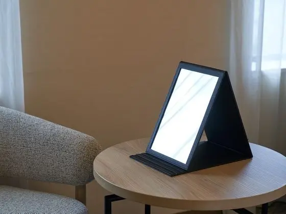 Deluxe Tek Büyük Yataklı Oda, Sigara İçilmez
