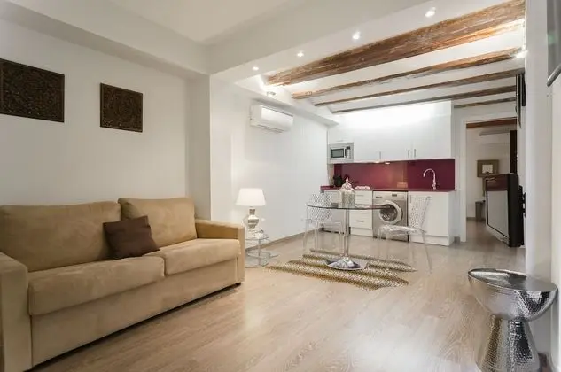 Apart Daire, 1 Yatak Odası