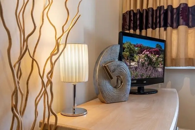 Standard Tek Büyük Yataklı Oda (Room 10)