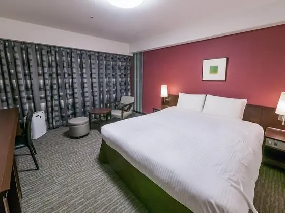 Deluxe Tek Büyük Yataklı Oda, Sigara İçilmez