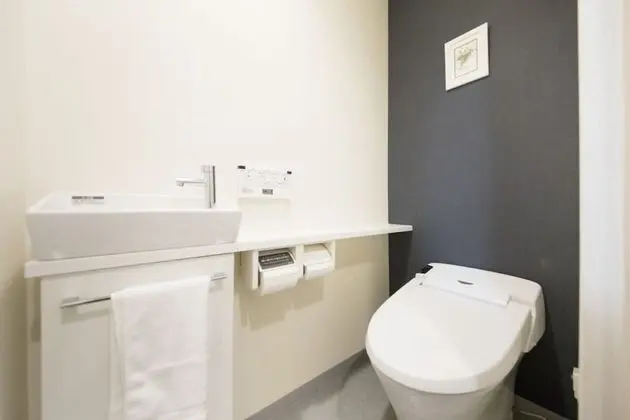 Superior İki Ayrı Yataklı Oda, Sigara İçilebilir