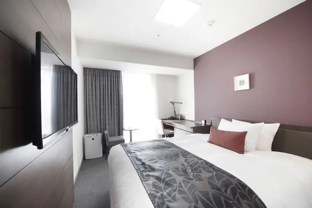 Superior Tek Büyük Yataklı Oda, Sigara İçilmez