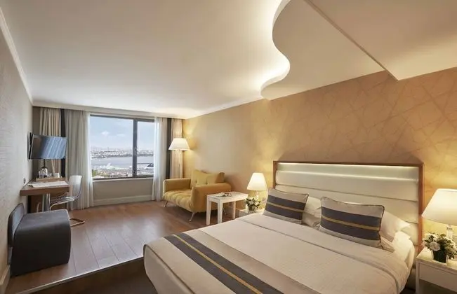 Deluxe Single Room with Bosphorus View