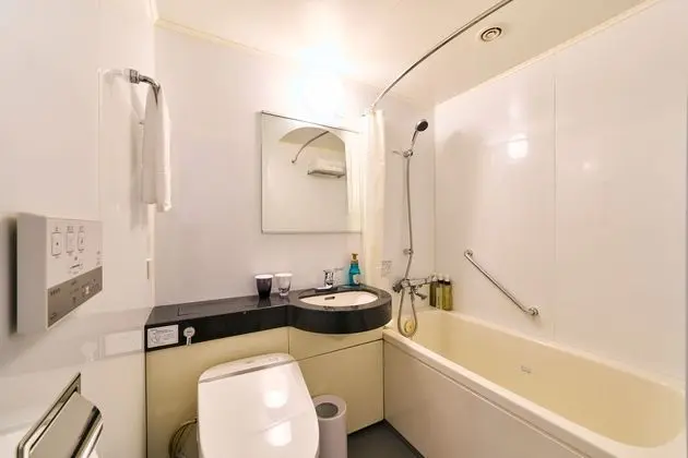 Standard Tek Büyük Yataklı Oda (2 person use)