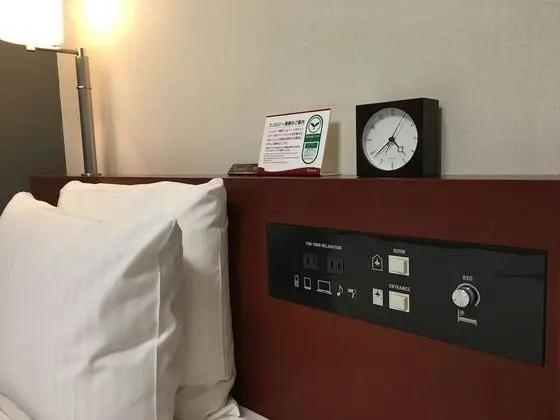 Standard Tek Büyük Yataklı Oda, 1 Yatak Odası, Sigara İçilebilir