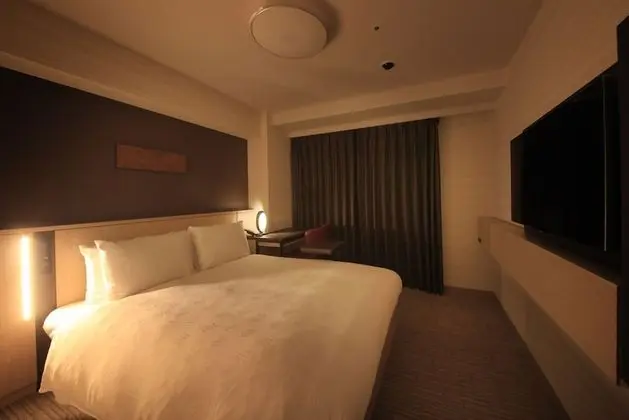 Comfort Tek Büyük Yataklı Oda, Sigara İçilmez (For 2 people)