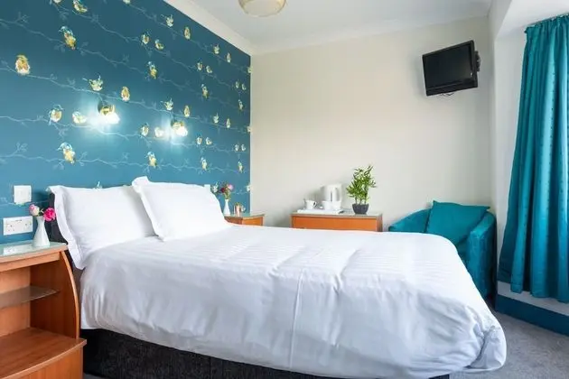 Tek Büyük Yataklı Oda, Banyolu/Duşlu (& Shower)
