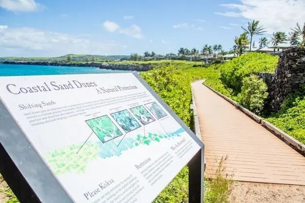 Daire, 1 Yatak Odası