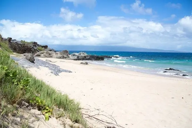 Daire, 1 Yatak Odası