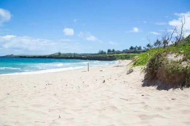 Daire, 1 Yatak Odası