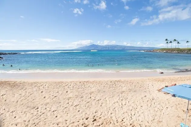 Daire, 1 Yatak Odası