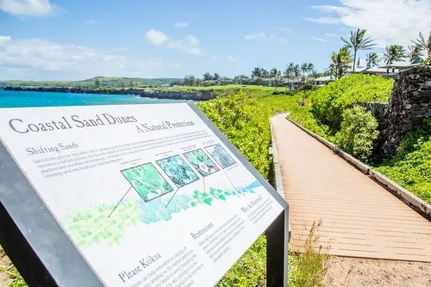 Daire, 1 Yatak Odası