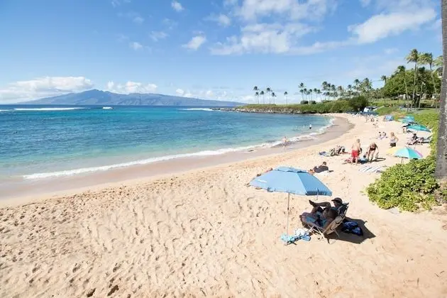 Daire, 1 Yatak Odası