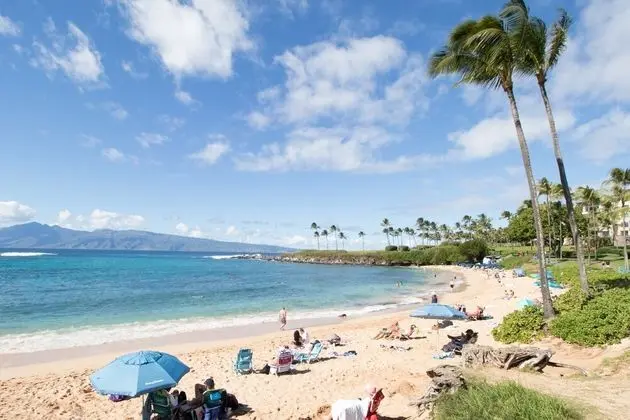 Daire, 2 Yatak Odası