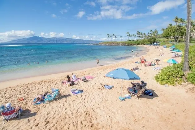 Daire, 2 Yatak Odası