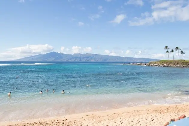 Daire, 2 Yatak Odası