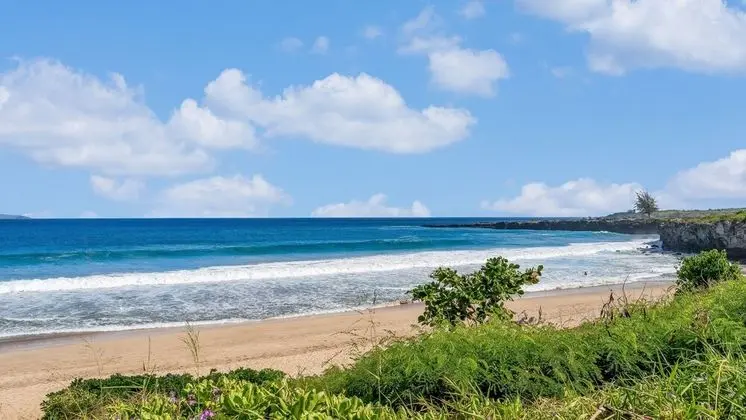 Daire, 2 Yatak Odası