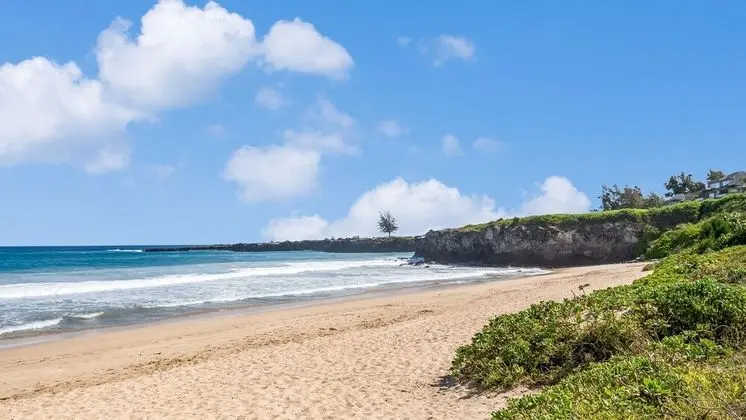 Daire, 2 Yatak Odası