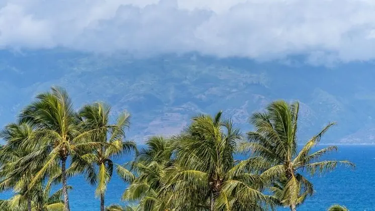 Daire, 2 Yatak Odası