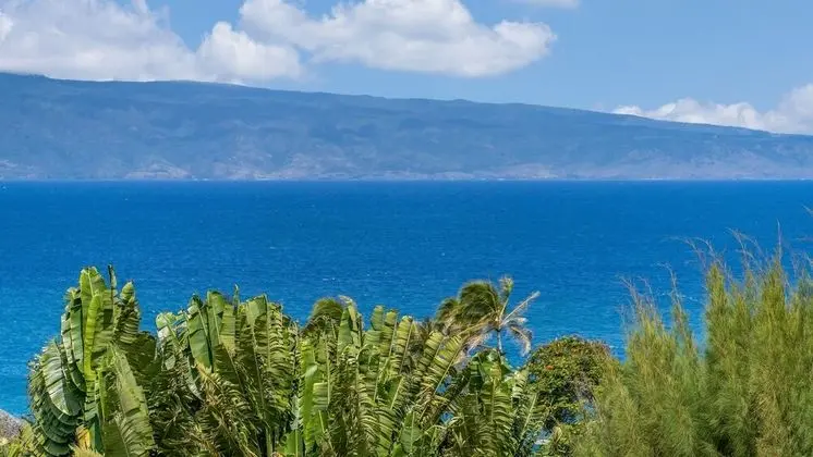 Daire, 2 Yatak Odası