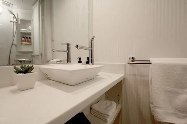 Çatı Katı (Loft), 1 Yatak Odası