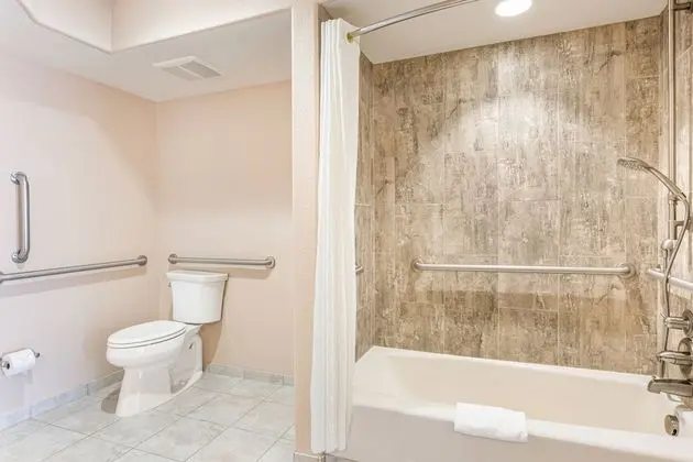 1 Bedroom 1 King Suite with Sofabed
