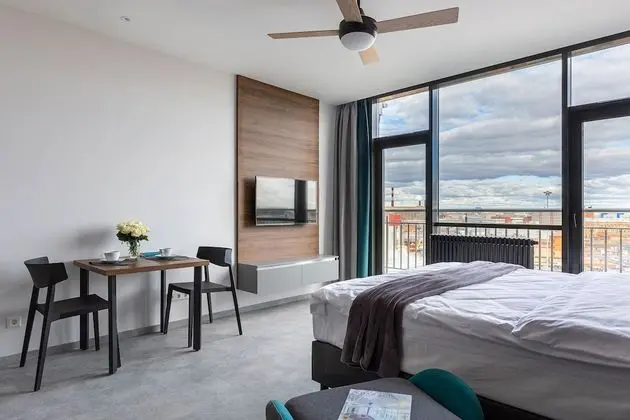 Superior Stüdyo, 1 Yatak Odası, Sigara İçilmez, Şehir Manzaralı