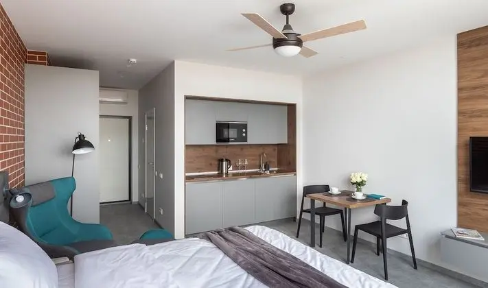 Superior Stüdyo, 1 Yatak Odası, Sigara İçilmez, Şehir Manzaralı