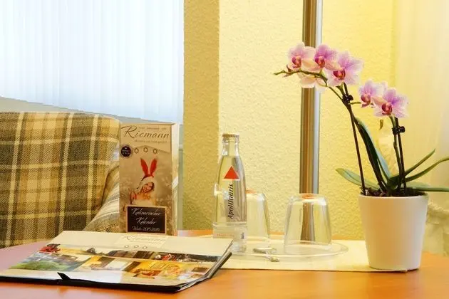 Executive Tek Büyük Yataklı Oda, Manzaralı