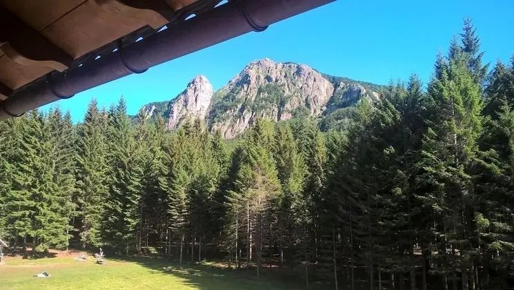 Basic Tek Büyük veya İki Ayrı Yataklı Oda (Ramba)