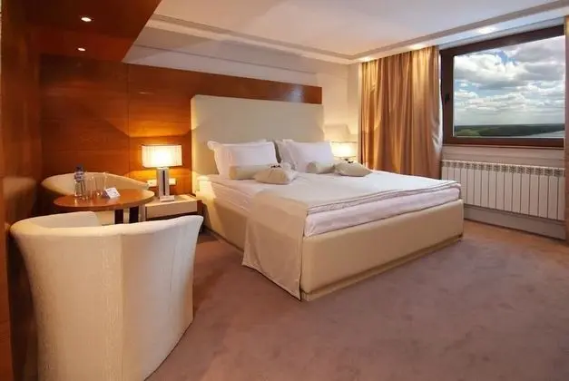 Executive Tek Büyük veya İki Ayrı Yataklı Oda