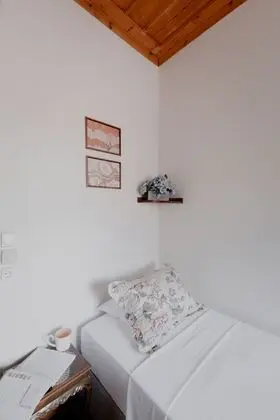 Basic Tek Kişilik Oda, 1 Yatak Odası, Teras, Şehir Manzaralı (Palamidi)