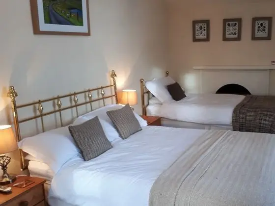 Tek Büyük Yataklı Oda, Banyolu/Duşlu (The Harris Suite)