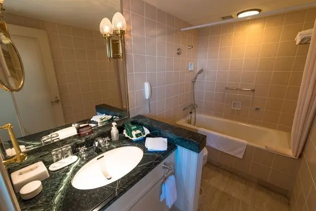 Standard Tek Büyük Yataklı Oda, Sigara İçilmez (Free access to pool, sauna, gym)
