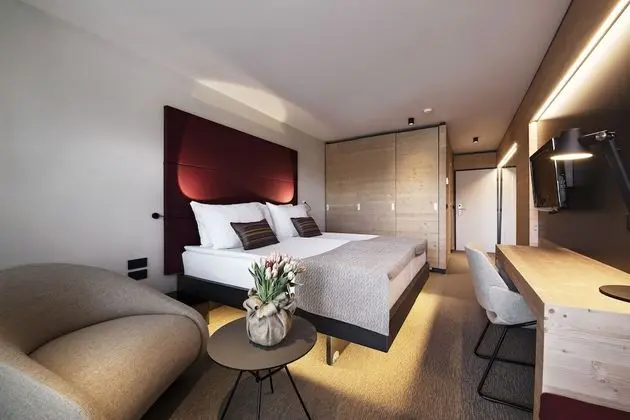 Tek Büyük Yataklı Oda, Balkon, Park Manzaralı