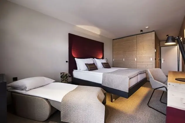Tek Büyük Yataklı Oda, Balkon, Park Manzaralı
