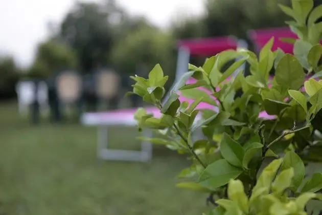 Ev, 2 Yatak Odası, Şömine