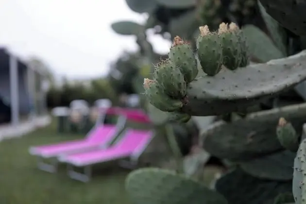 Ev, 2 Yatak Odası, Şömine