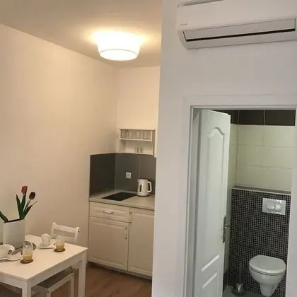 Superior Tek Büyük Yataklı Oda, Küçük Mutfak