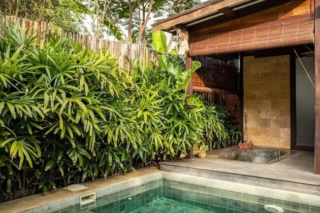 Deluxe Villa, 1 Yatak Odası (Villa Surya)