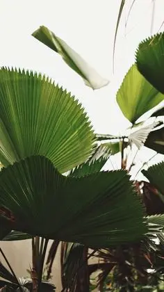 Odadan manzara
