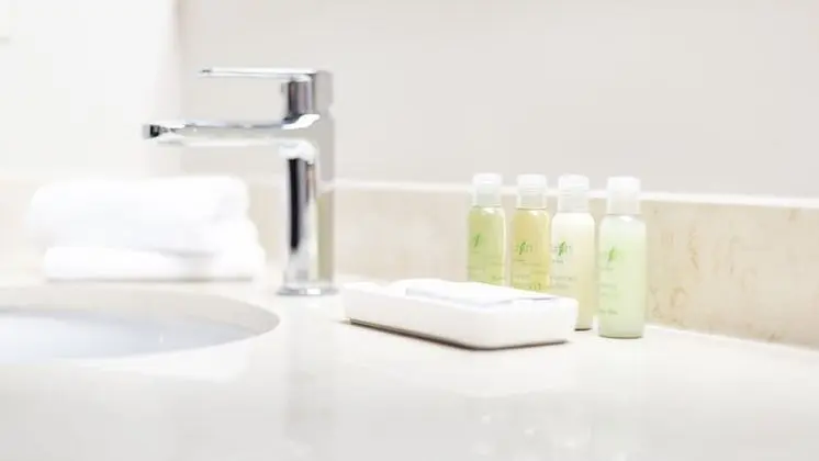 Superior Oda, 1 En Büyük (King) Boy Yatak ve Çekyat, Şehir Manzaralı