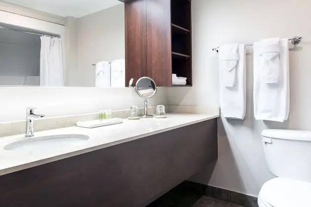 Superior Oda, 1 En Büyük (King) Boy Yatak ve Çekyat, Şehir Manzaralı