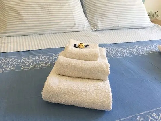 Superior Tek Büyük veya İki Ayrı Yataklı Oda