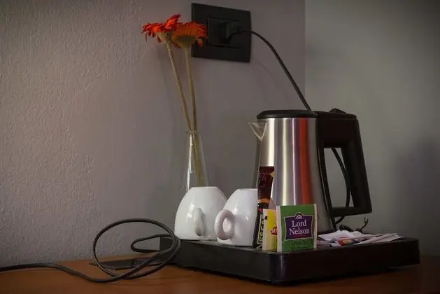 Business Tek Büyük veya İki Ayrı Yataklı Oda