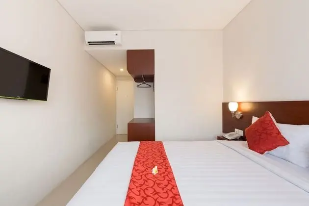 Deluxe Oda, 1 Çift Kişilik Yatak